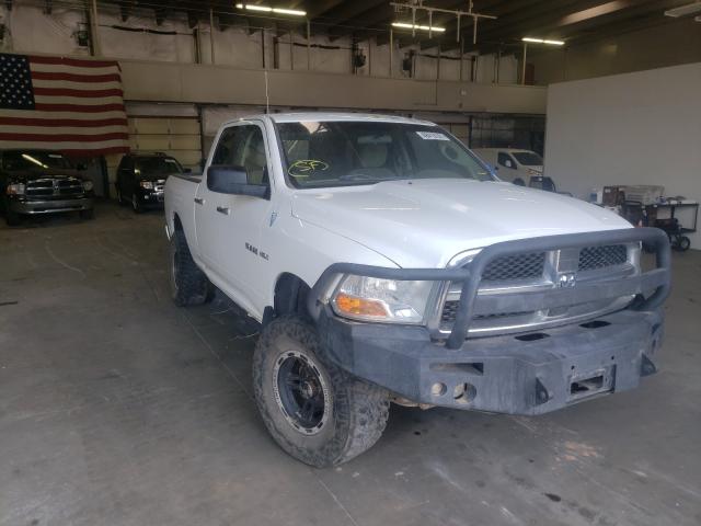 DODGE RAM 1500 2010 1d7rv1gt3as128193