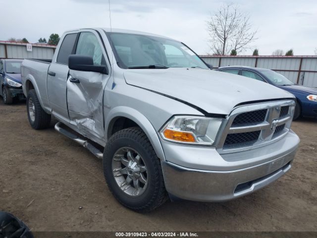 DODGE RAM 1500 2010 1d7rv1gt3as140859