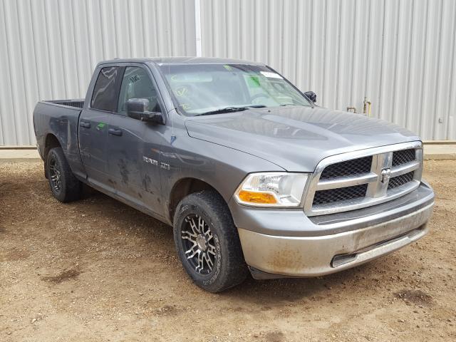 DODGE RAM 1500 2010 1d7rv1gt3as166961