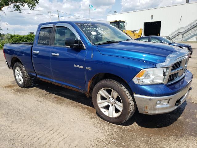 DODGE RAM 1500 2010 1d7rv1gt3as168385