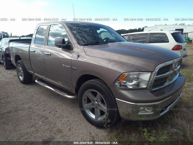 DODGE RAM 1500 2010 1d7rv1gt3as183842