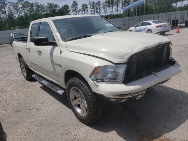 DODGE RAM 1500 2010 1d7rv1gt3as228052