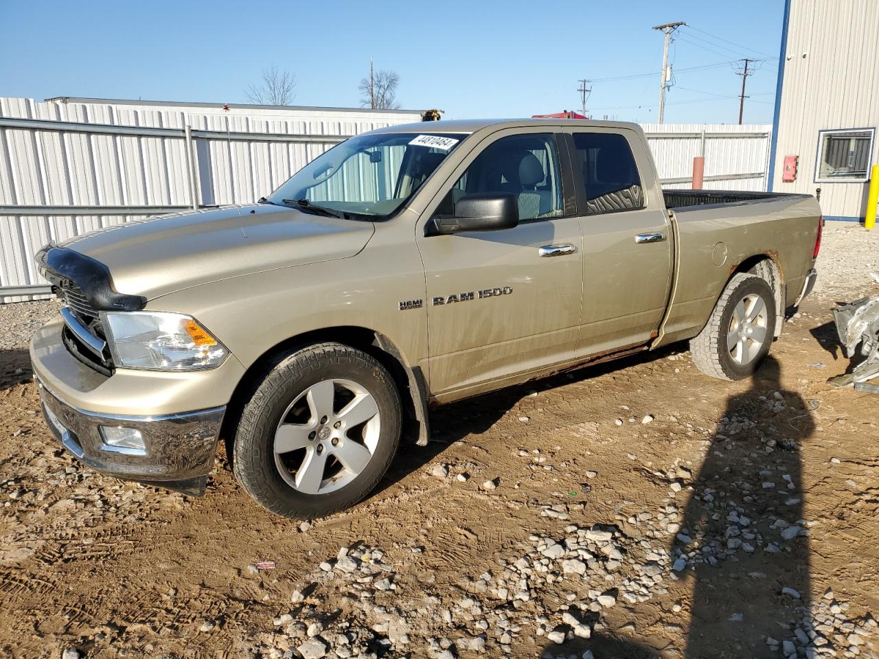 DODGE RAM 2011 1d7rv1gt3bs704124