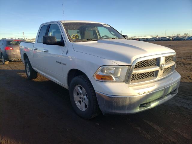 DODGE RAM 1500 2010 1d7rv1gt4as102069