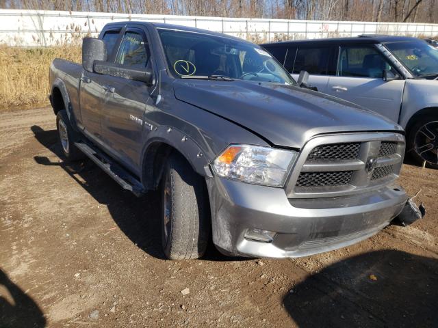 DODGE RAM 1500 2010 1d7rv1gt4as107322