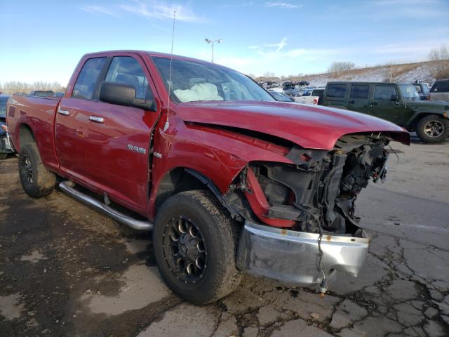 DODGE RAM 1500 2010 1d7rv1gt4as112827