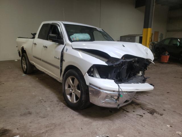 DODGE RAM 1500 2010 1d7rv1gt4as124928