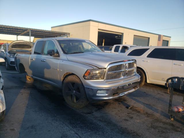 DODGE RAM 1500 2010 1d7rv1gt4as128154