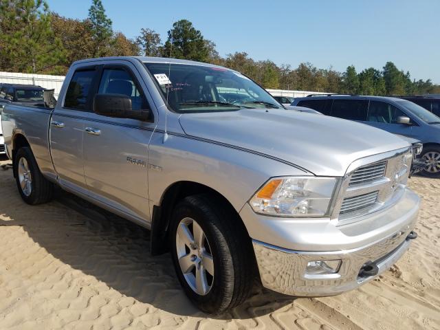 DODGE RAM 1500 2010 1d7rv1gt4as129109