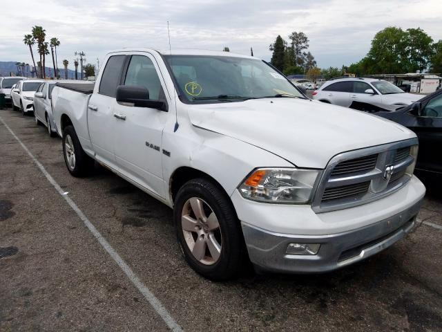 DODGE RAM 1500 2010 1d7rv1gt4as129305