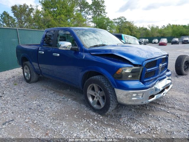 DODGE RAM 1500 2010 1d7rv1gt4as129904