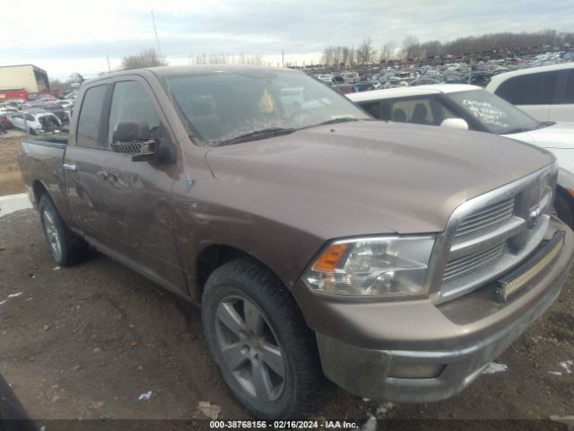 DODGE RAM 1500 2010 1d7rv1gt4as146847