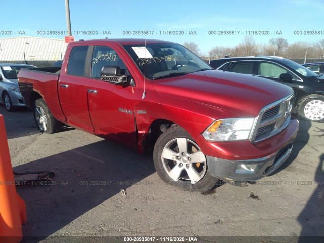 DODGE RAM 1500 2010 1d7rv1gt4as147013