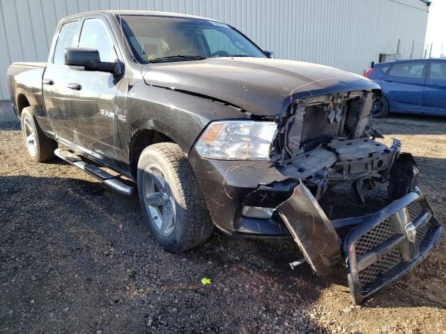 DODGE RAM 1500 2010 1d7rv1gt4as149098