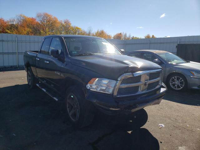 DODGE RAM 1500 2010 1d7rv1gt4as157881