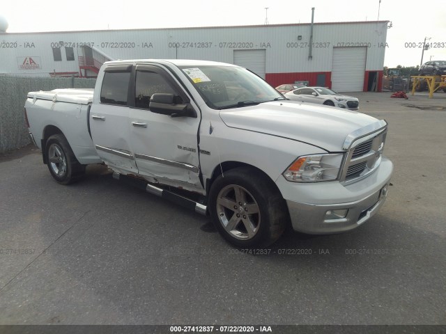 DODGE RAM 1500 2010 1d7rv1gt4as183378