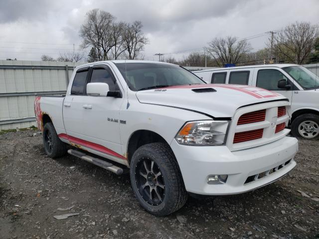 DODGE RAM 1500 2010 1d7rv1gt4as187754