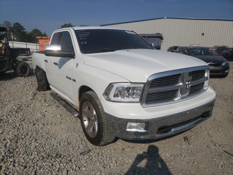 DODGE RAM 1500 2010 1d7rv1gt4as198317