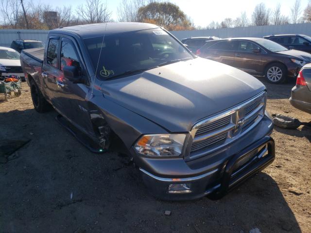 DODGE RAM 1500 2010 1d7rv1gt4as211129