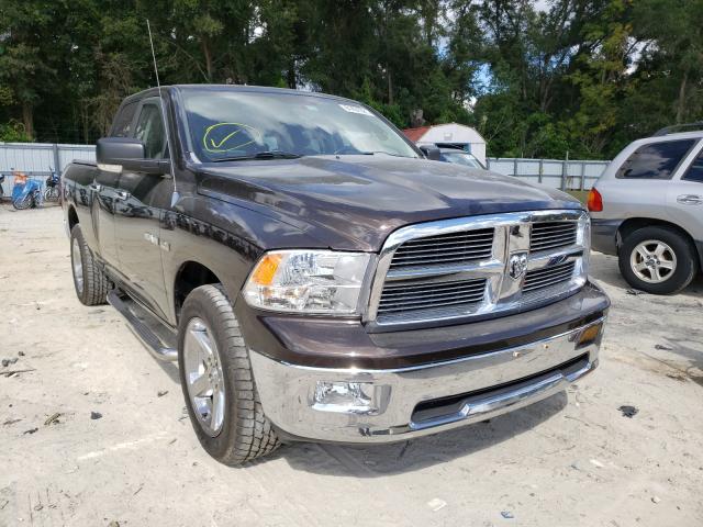 DODGE RAM 1500 2010 1d7rv1gt4as217030