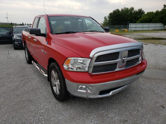 DODGE RAM 1500 2010 1d7rv1gt4as257057