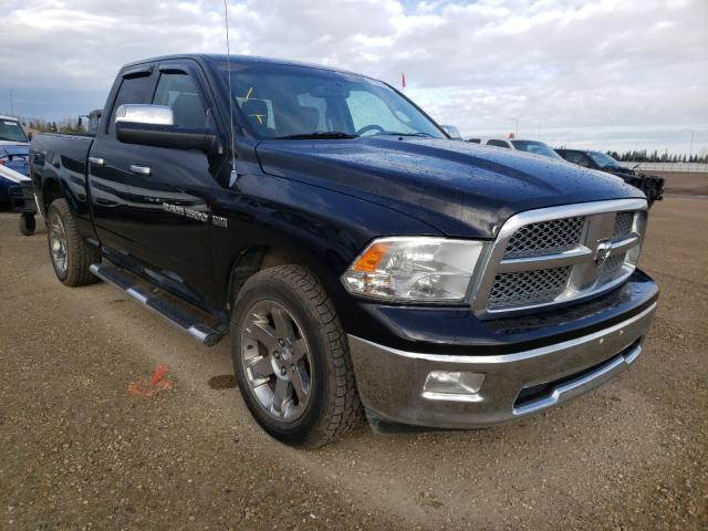 DODGE RAM 1500 2011 1d7rv1gt4bs570787