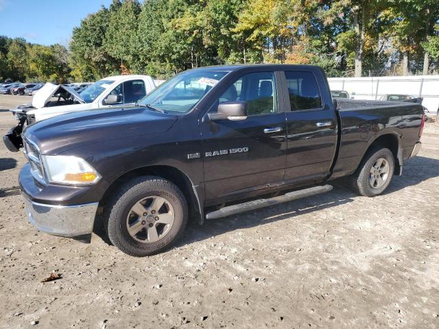 DODGE RAM 1500 2011 1d7rv1gt4bs626873