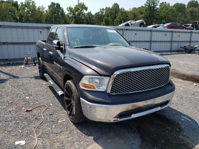 DODGE RAM 1500 2011 1d7rv1gt4bs672400