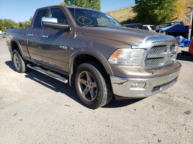 DODGE RAM 1500 2010 1d7rv1gt5as124095