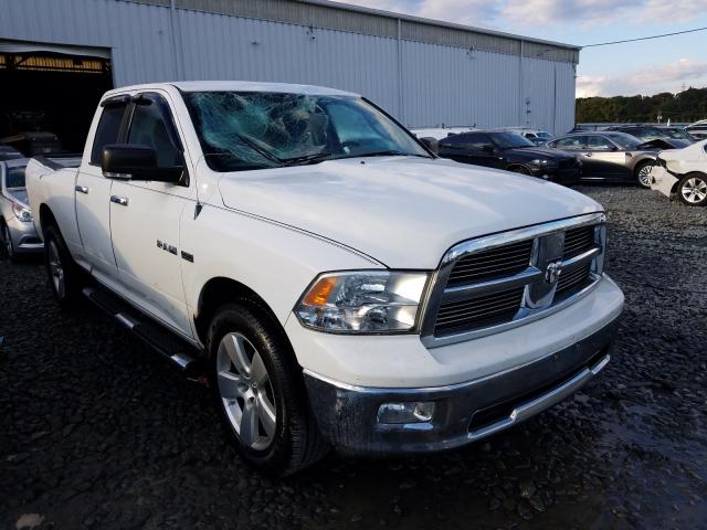 DODGE RAM 1500 2010 1d7rv1gt5as124856