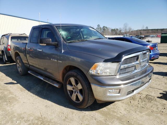 DODGE RAM 1500 2010 1d7rv1gt5as133637