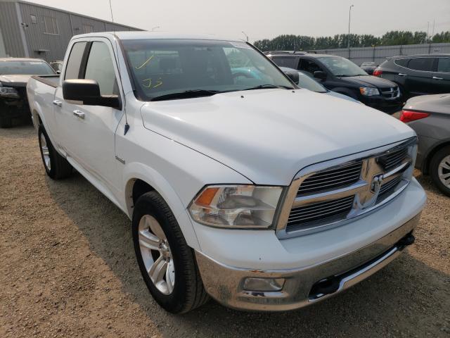 DODGE RAM 1500 2010 1d7rv1gt5as137431