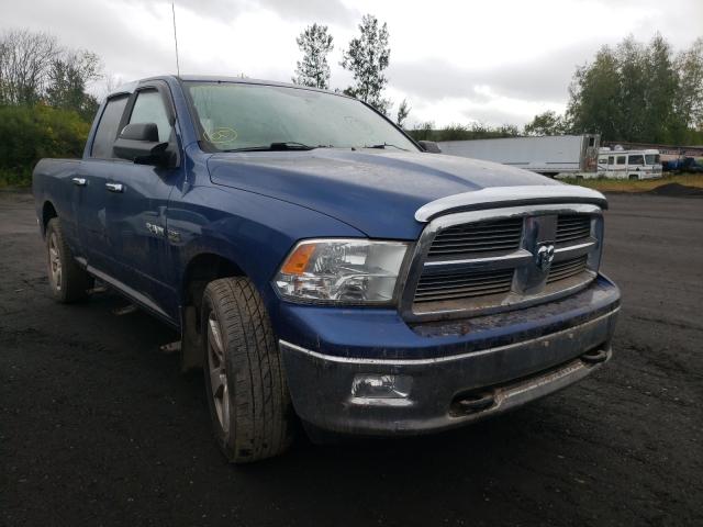 DODGE RAM 1500 2010 1d7rv1gt5as146601