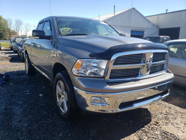 DODGE RAM 1500 2010 1d7rv1gt5as207459