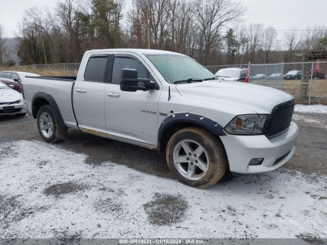 DODGE RAM 1500 2010 1d7rv1gt5as216128