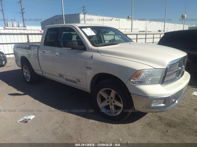 DODGE RAM 1500 2010 1d7rv1gt5as227517