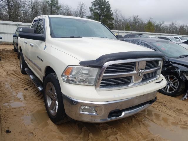 DODGE RAM 1500 2010 1d7rv1gt5as227551