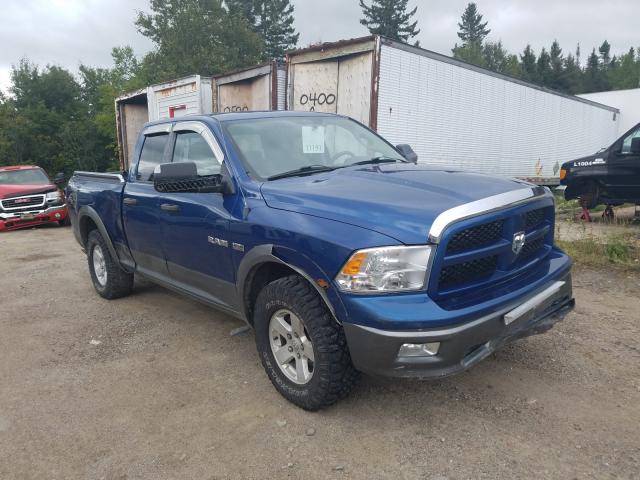 DODGE RAM 1500 2010 1d7rv1gt5as236167