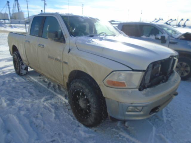 DODGE RAM 1500 2011 1d7rv1gt5bs680151