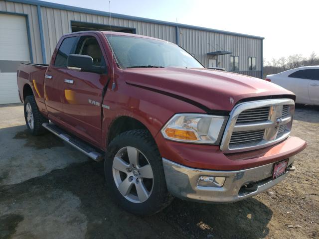 DODGE RAM 1500 2010 1d7rv1gt6as106768