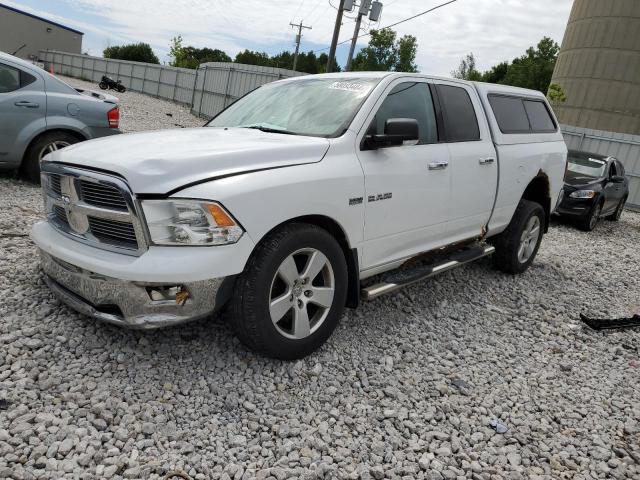 DODGE RAM 1500 2010 1d7rv1gt6as108505