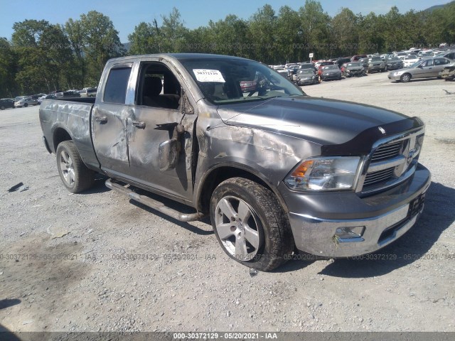 DODGE RAM 1500 2010 1d7rv1gt6as129354