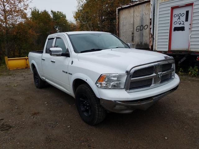 DODGE RAM 1500 2010 1d7rv1gt6as136398