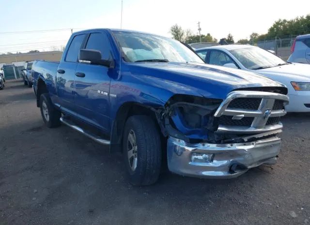 DODGE RAM 1500 2010 1d7rv1gt6as137079