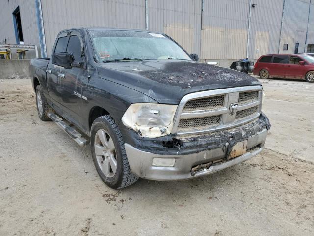 DODGE RAM 1500 2010 1d7rv1gt6as145389