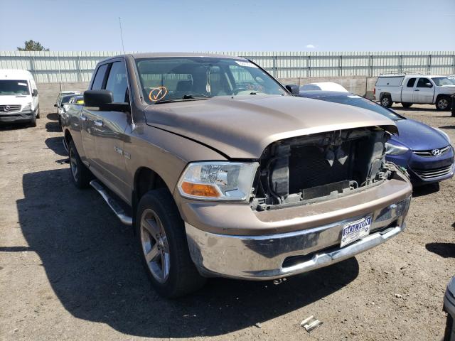 DODGE RAM 1500 2010 1d7rv1gt6as145764