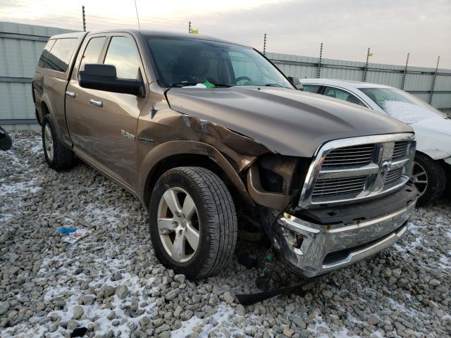 DODGE RAM 1500 2010 1d7rv1gt6as152990