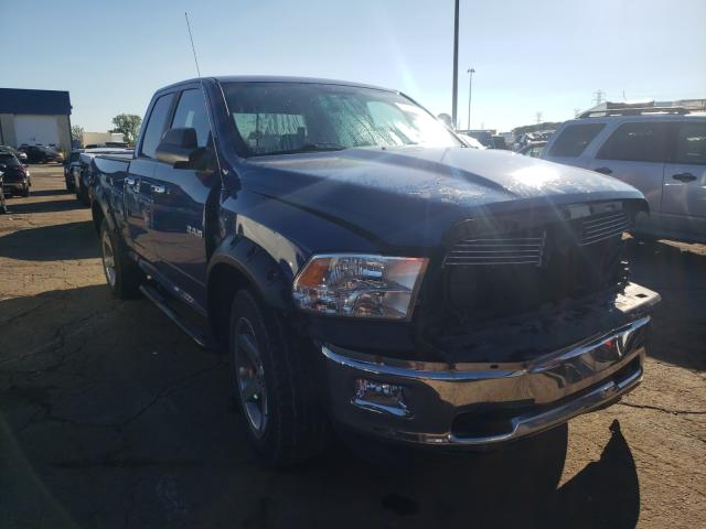 DODGE RAM 1500 2010 1d7rv1gt6as183902