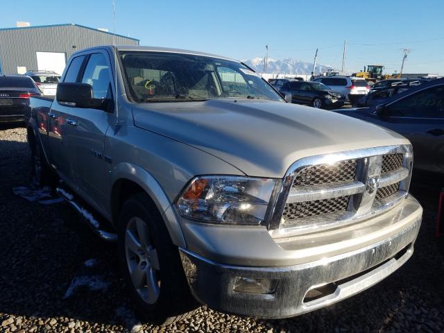 DODGE RAM 1500 2010 1d7rv1gt6as201251