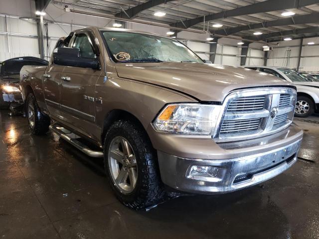 DODGE RAM 1500 2010 1d7rv1gt6as240194